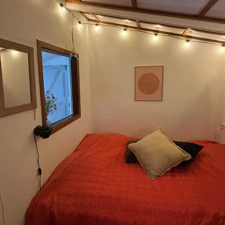 Cozy And Colourful In Skovgarde
