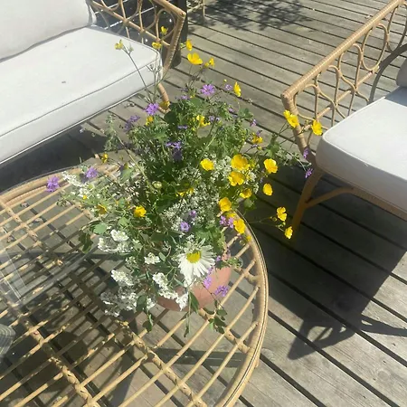 Cozy And Colourful In Skovgarde * Allingåbro